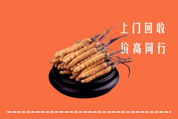 高价求购：河县回收散虫草